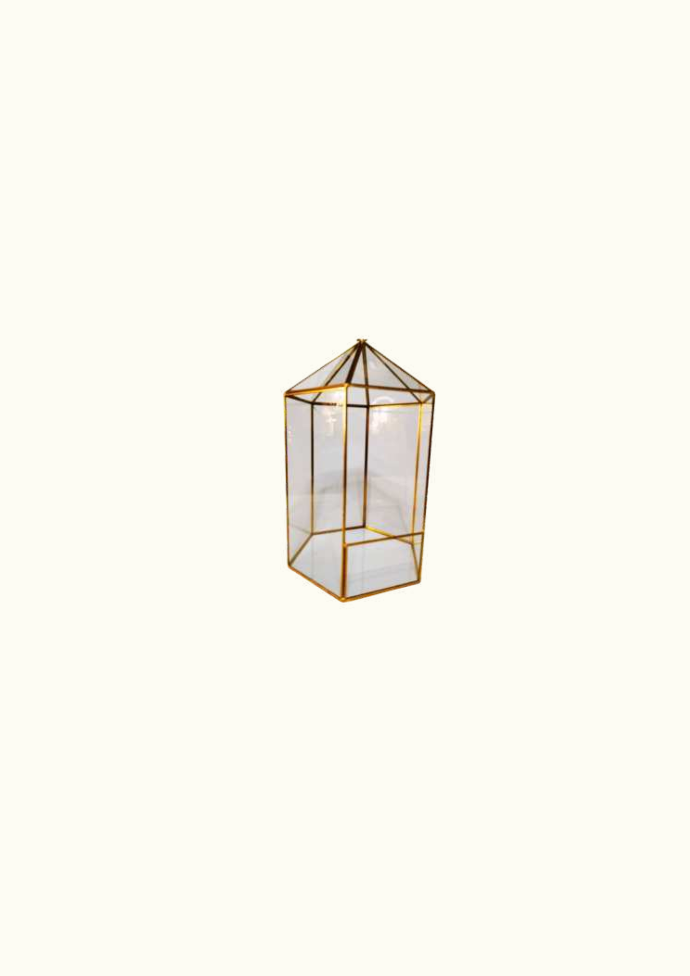 Golden lantern 6