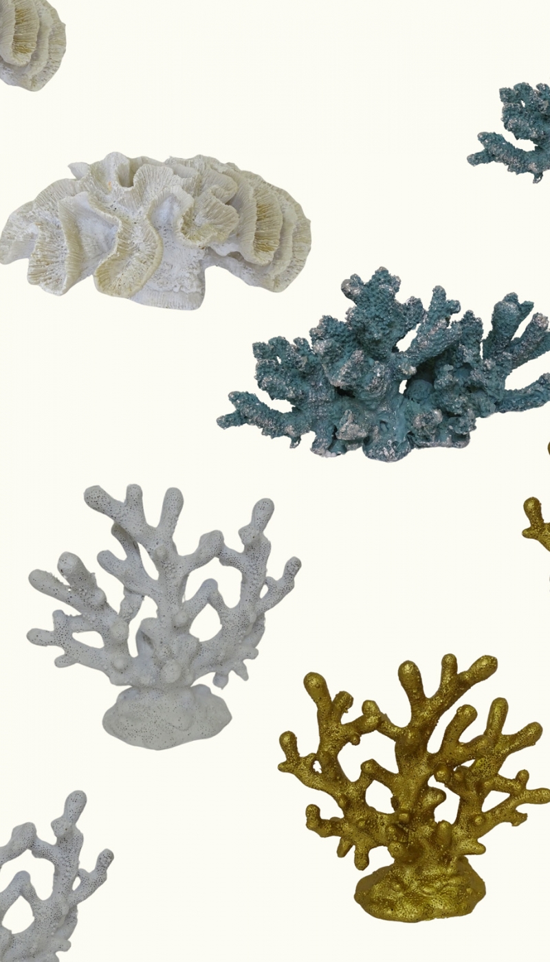 Koralji i školjke