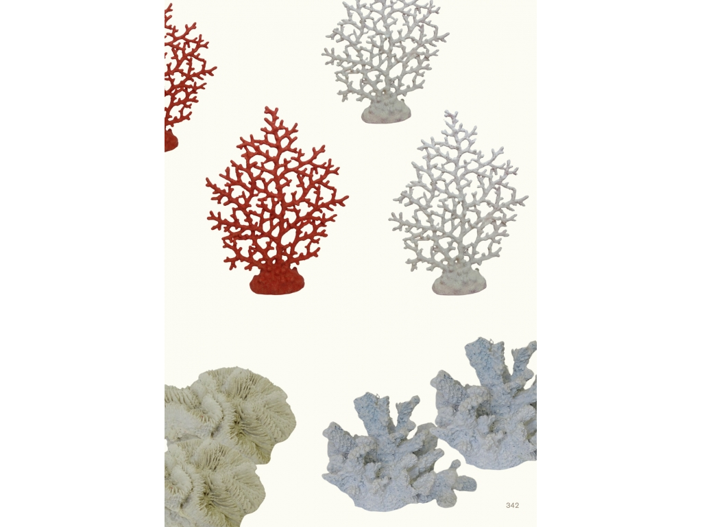 Koralji i školjke