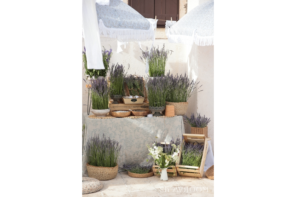 Lavander & salt table