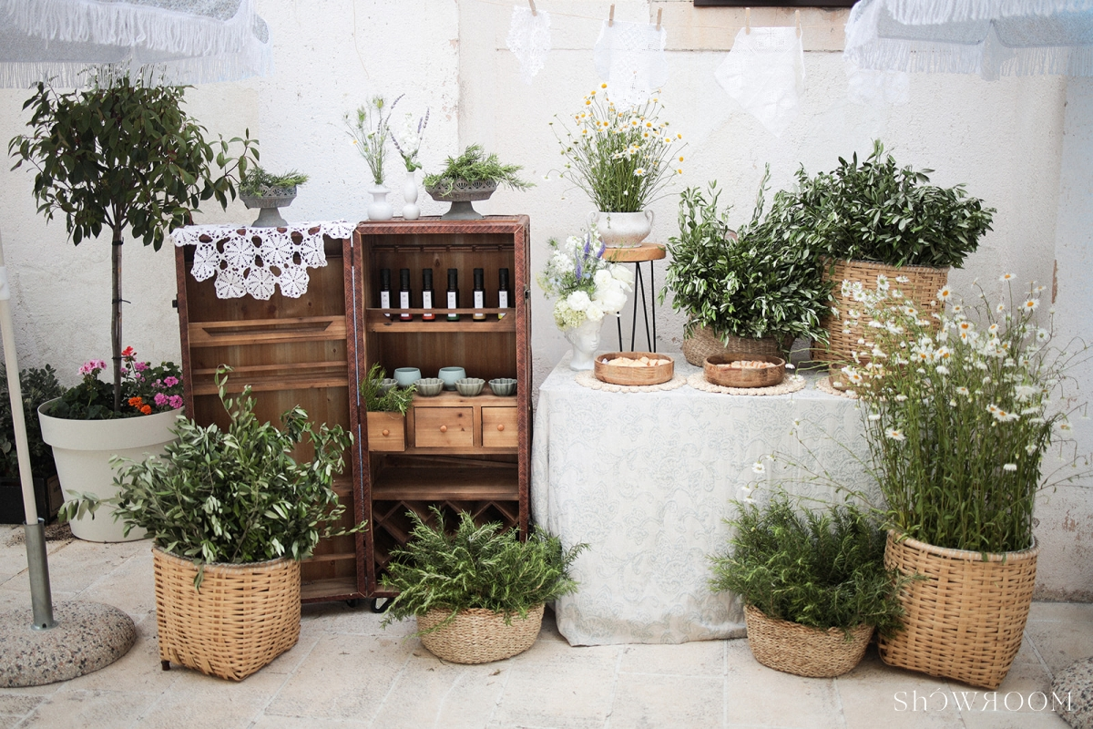 Olive tasting table